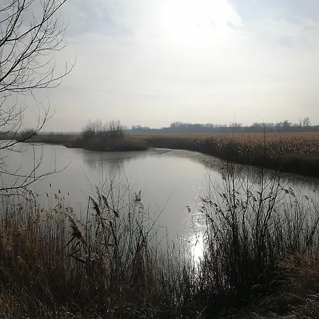 Feriehus Nadas Tanya 2 Maisons En Pleine Nature Et Piscine *