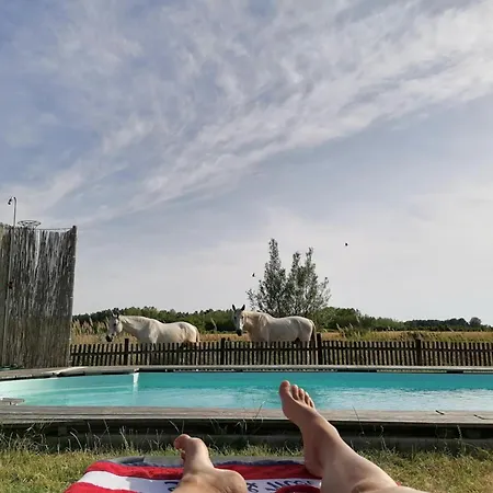 Holiday home Nadas Tanya 2 Maisons En Pleine Nature Et Piscine