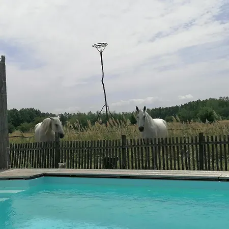 Nadas Tanya 2 Maisons En Pleine Nature Et Piscine 別荘 *