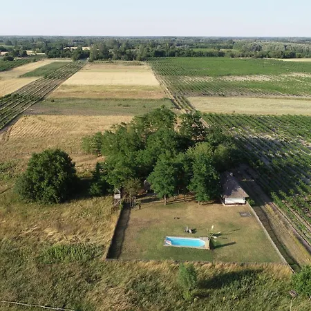 別荘 Nadas Tanya 2 Maisons En Pleine Nature Et Piscine Orgovany