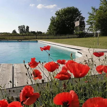 Nadas Tanya 2 Maisons En Pleine Nature Et Piscine Orgovany