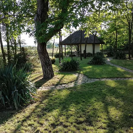 Nadas Tanya 2 Maisons En Pleine Nature Et Piscine 別荘 *