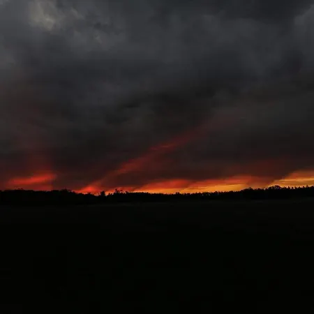 別荘 Nadas Tanya 2 Maisons En Pleine Nature Et Piscine Orgovany