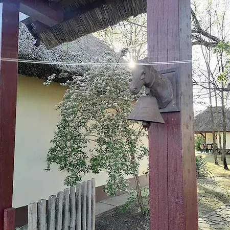 Nadas Tanya 2 Maisons En Pleine Nature Et Piscine