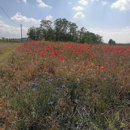 Holiday home Nadas Tanya 2 Maisons En Pleine Nature Et Piscine Orgovany